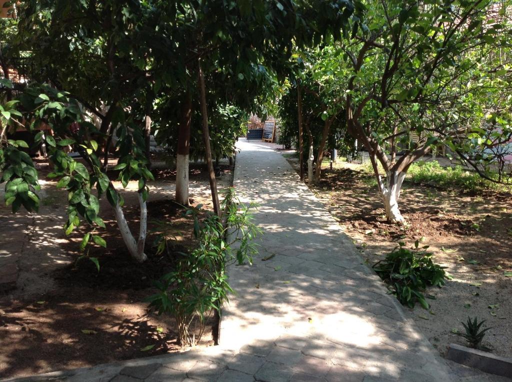 Ilkiz Beach Hotel Oludeniz Ngoại thất bức ảnh
